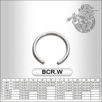 Surgical Steel BCR Without Ball